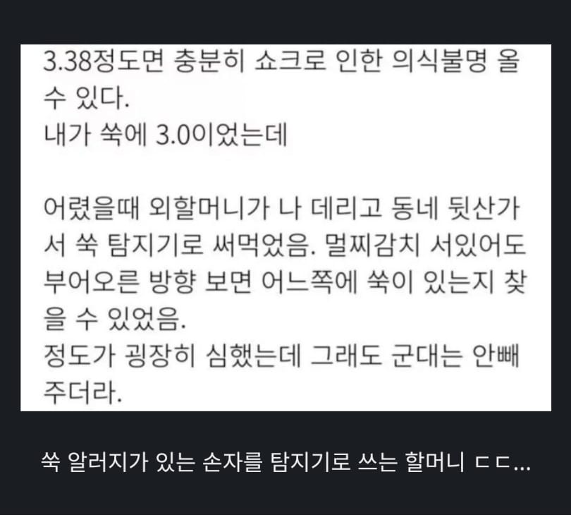 할머니가 쑥을 찾는 방법