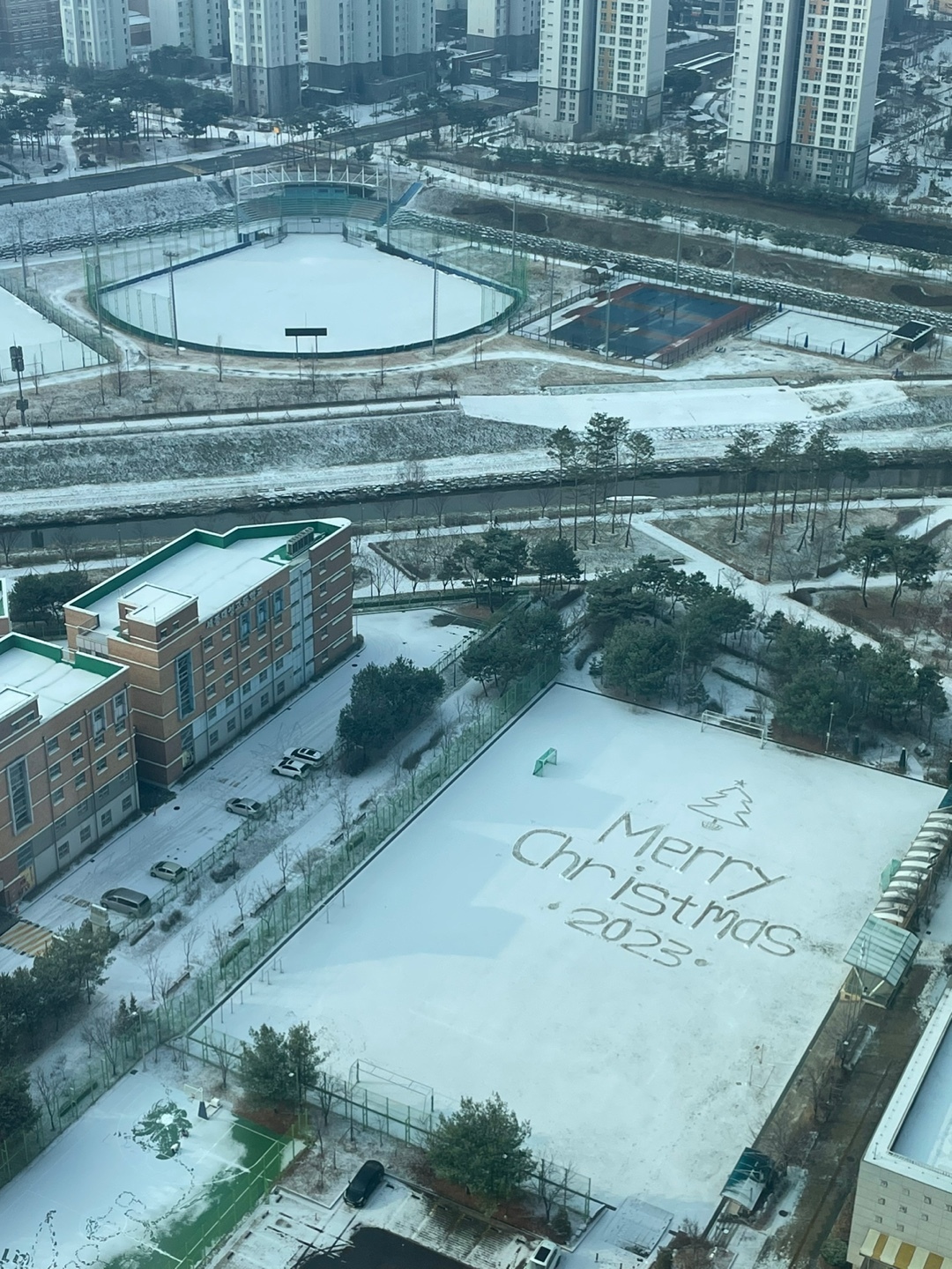 눈 내린 세종시 중학교 운동장 근황