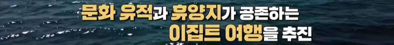 이집트 여행가서 돌아가신 부모님 사고 원흉은 빈대 때문?!