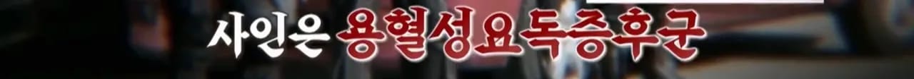 이집트 여행가서 돌아가신 부모님 사고 원흉은 빈대 때문?!