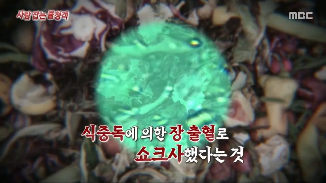 이집트 여행가서 돌아가신 부모님 사고 원흉은 빈대 때문?!