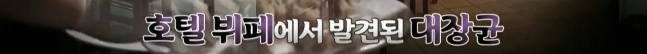 이집트 여행가서 돌아가신 부모님 사고 원흉은 빈대 때문?!