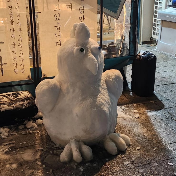 오늘자 통닭집 앞 눈사람 근황  ㅋㅋㅋ.jpg