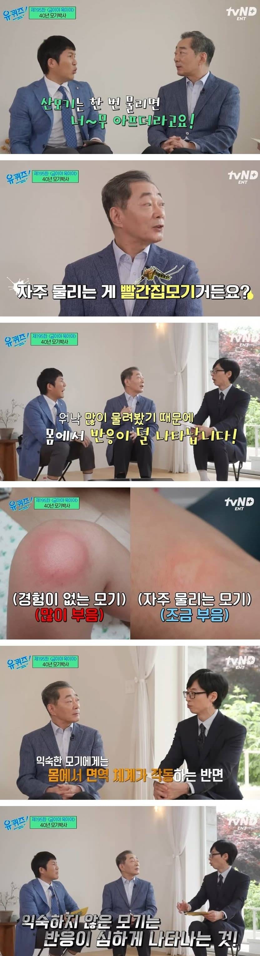 산모기에 물리면 아픈 이유