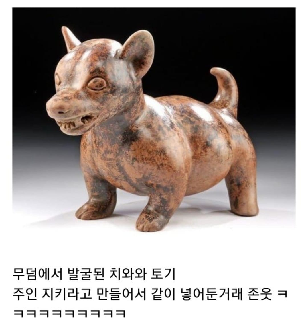 고대부터 성질 더러운걸로 유명했던 치와와