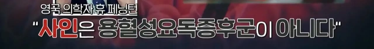 이집트 여행가서 돌아가신 부모님 사고 원흉은 빈대 때문?!