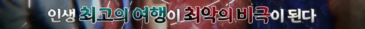 이집트 여행가서 돌아가신 부모님 사고 원흉은 빈대 때문?!