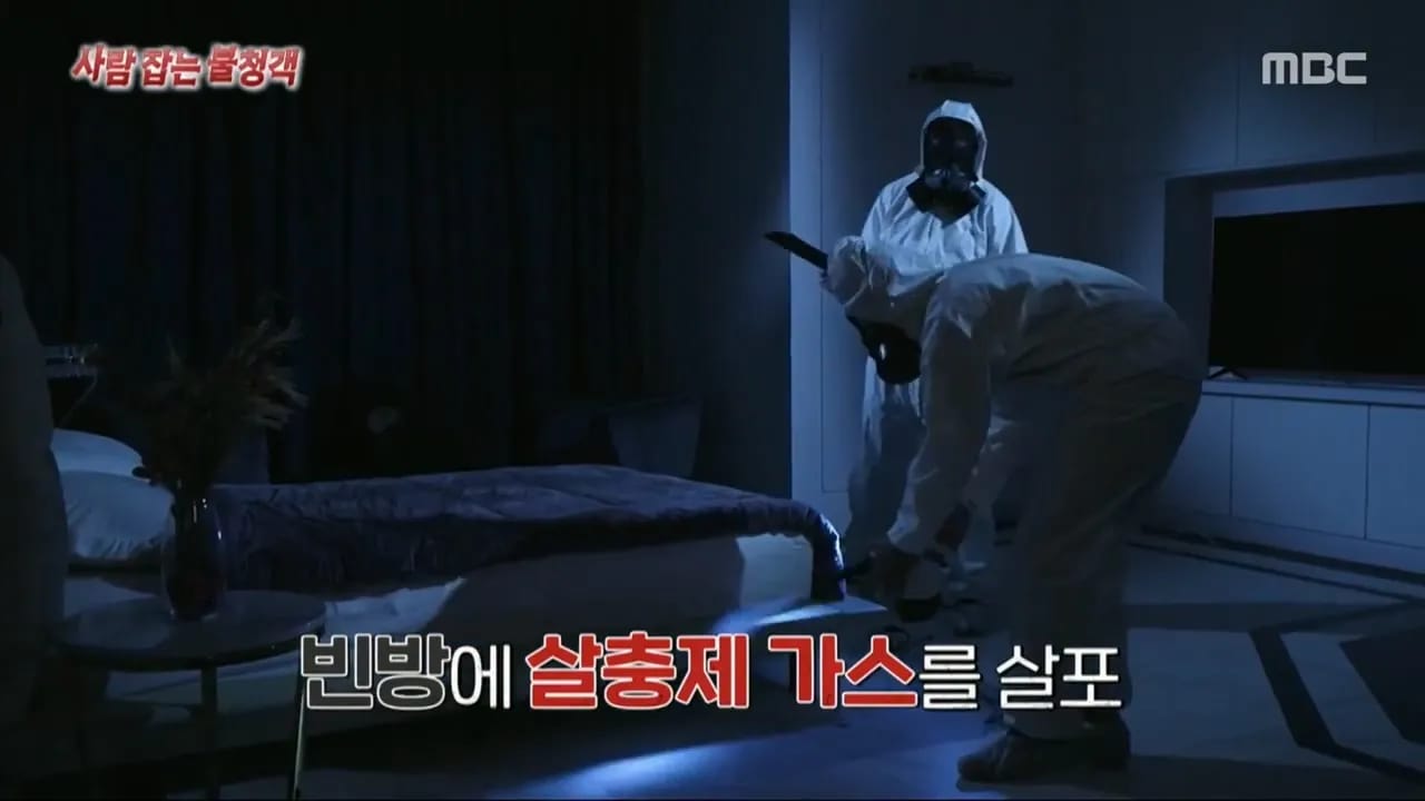 이집트 여행가서 돌아가신 부모님 사고 원흉은 빈대 때문?!