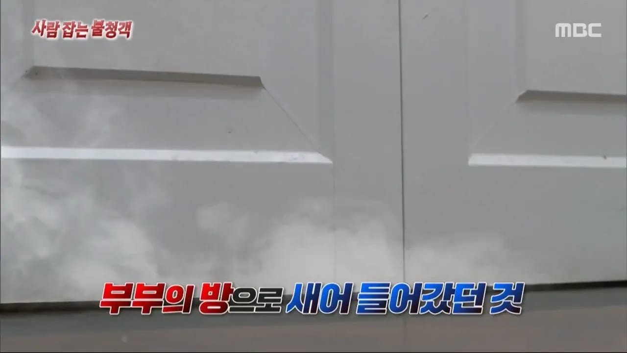 이집트 여행가서 돌아가신 부모님 사고 원흉은 빈대 때문?!