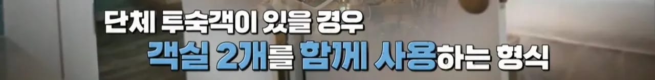 이집트 여행가서 돌아가신 부모님 사고 원흉은 빈대 때문?!