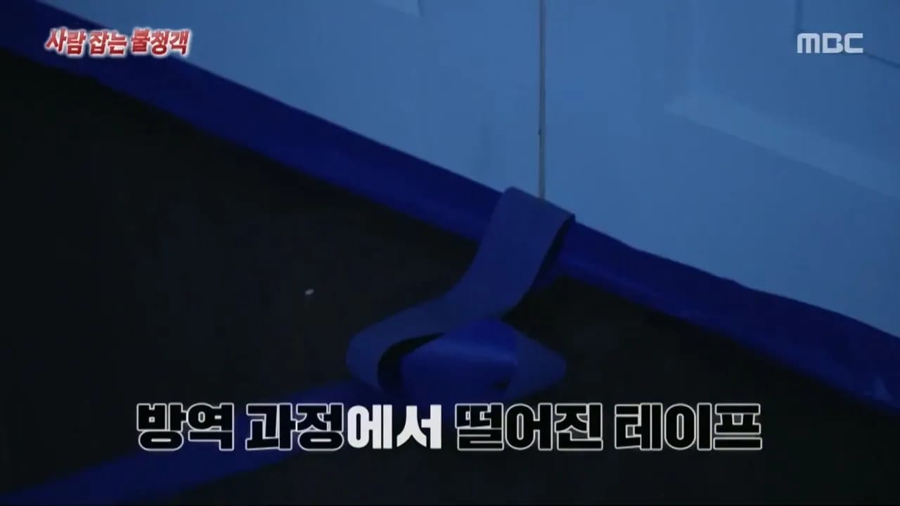 이집트 여행가서 돌아가신 부모님 사고 원흉은 빈대 때문?!