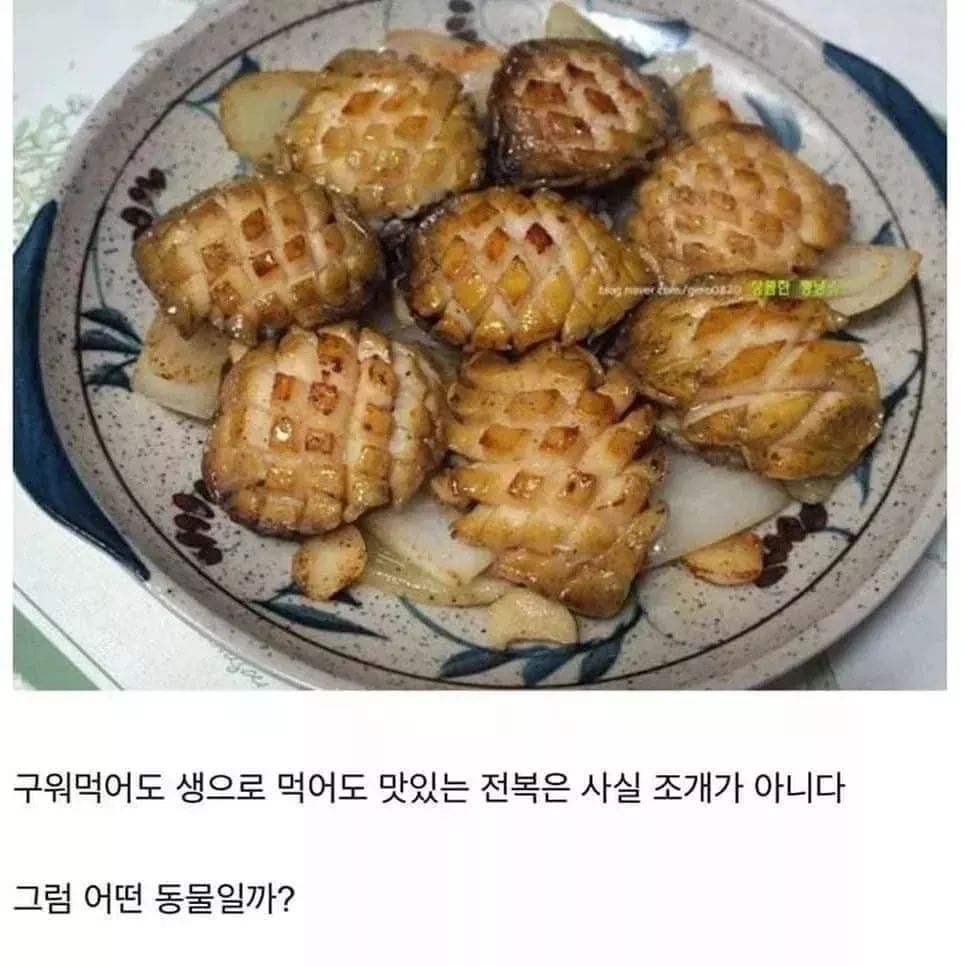 전복은 사실 조개가 아니였다