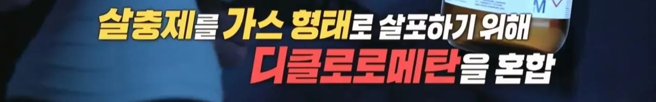 이집트 여행가서 돌아가신 부모님 사고 원흉은 빈대 때문?!