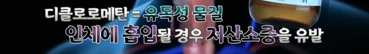 이집트 여행가서 돌아가신 부모님 사고 원흉은 빈대 때문?!