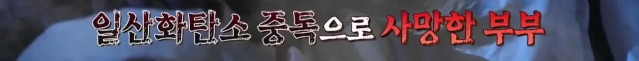 이집트 여행가서 돌아가신 부모님 사고 원흉은 빈대 때문?!