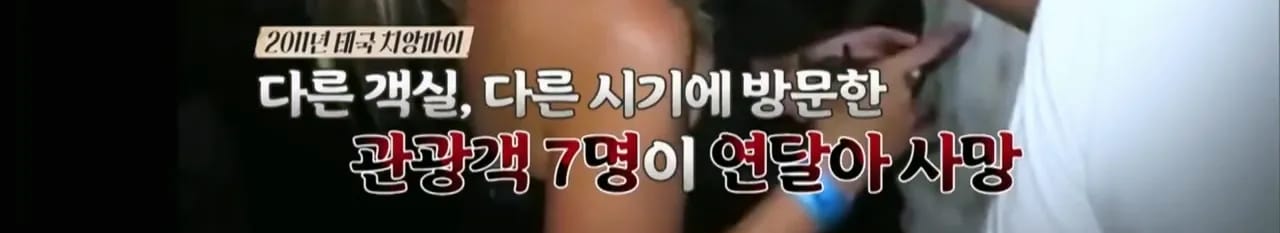 이집트 여행가서 돌아가신 부모님 사고 원흉은 빈대 때문?!