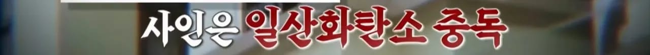 이집트 여행가서 돌아가신 부모님 사고 원흉은 빈대 때문?!