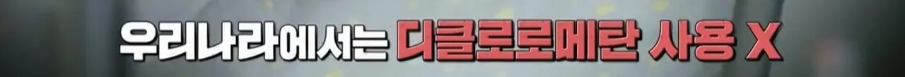 이집트 여행가서 돌아가신 부모님 사고 원흉은 빈대 때문?!