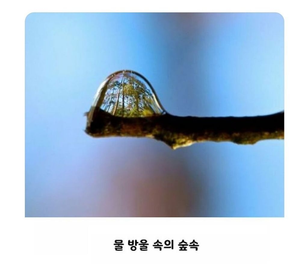 빛의 반사로 만들어진 예술