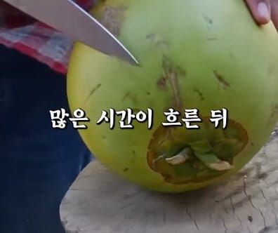 바람핀걸 후회하는 아내에게 신이 속삭였다