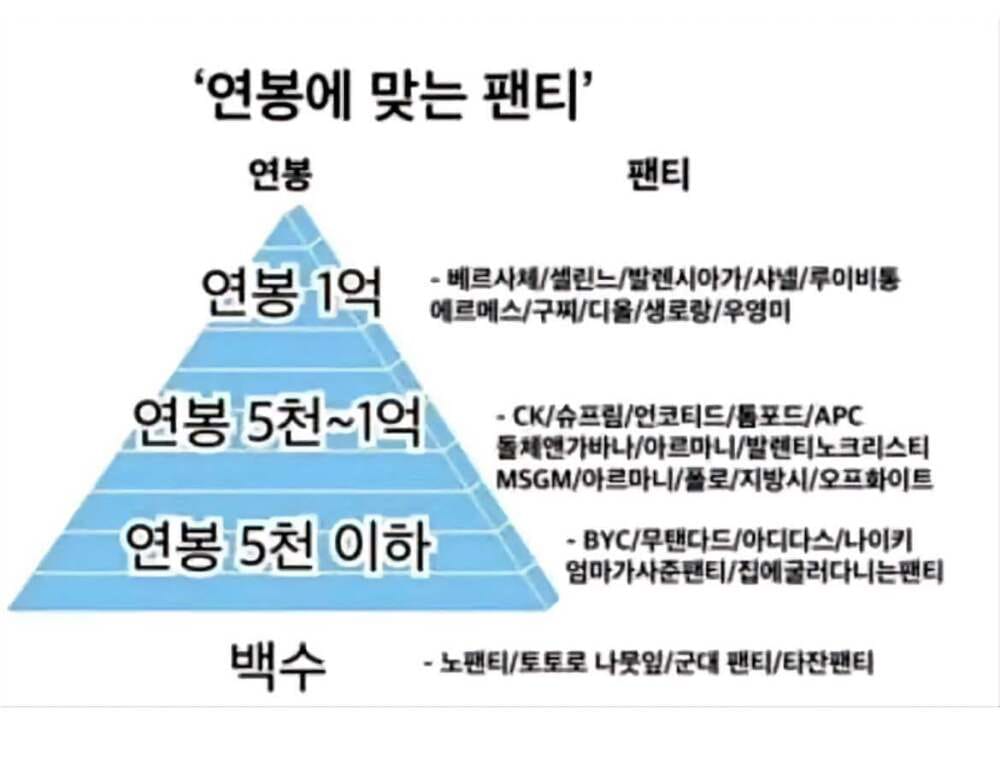 연봉별 팬티 추천