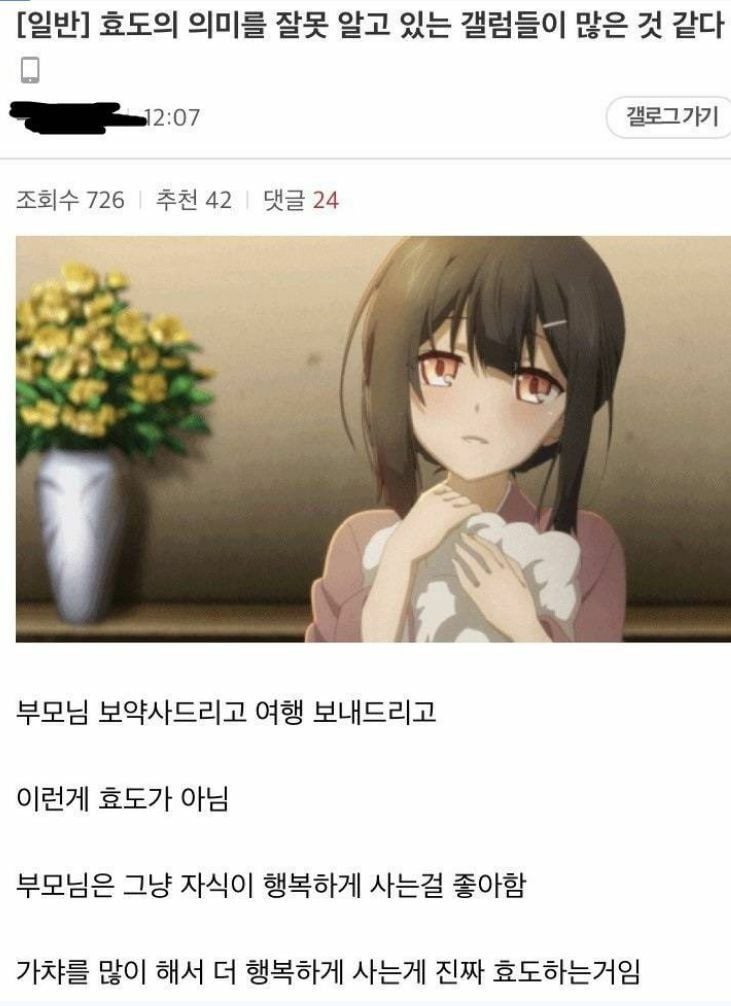 디시갤럼이 생각하는 효도의 의미