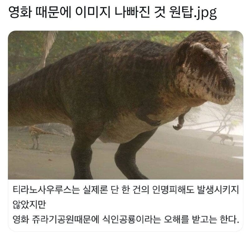 영화때문에 이미지 나빠진 동물 원탑 .jpg