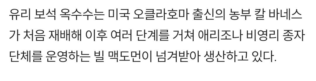 유리보석 옥수수