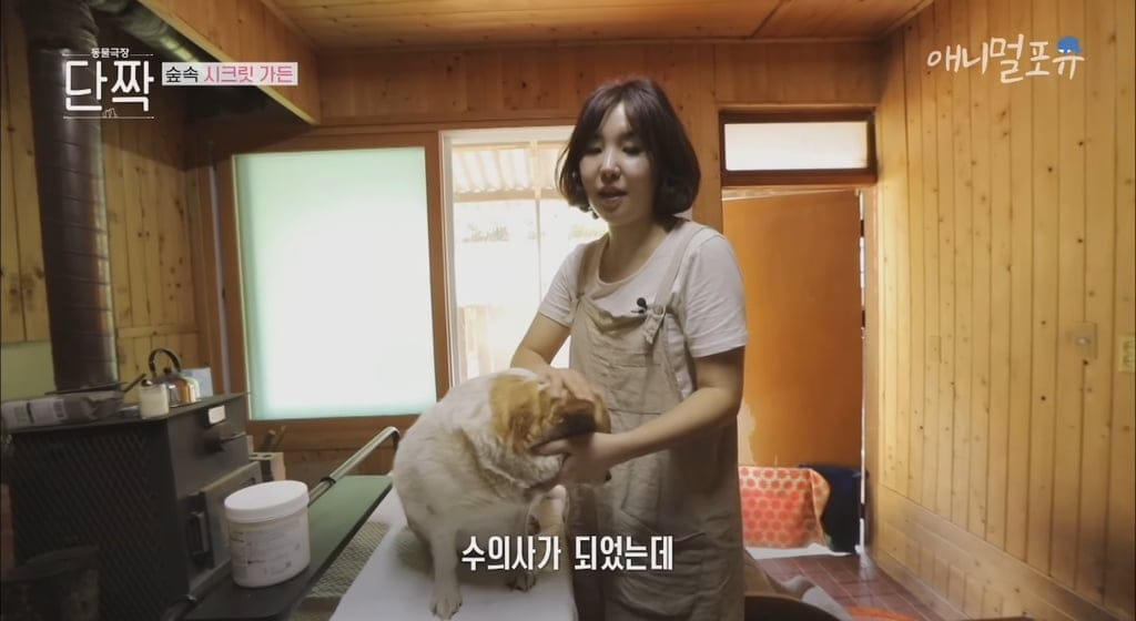시골의 숲속 시크릿가든에서 32마리 반려견과 사는 수의사.jpg