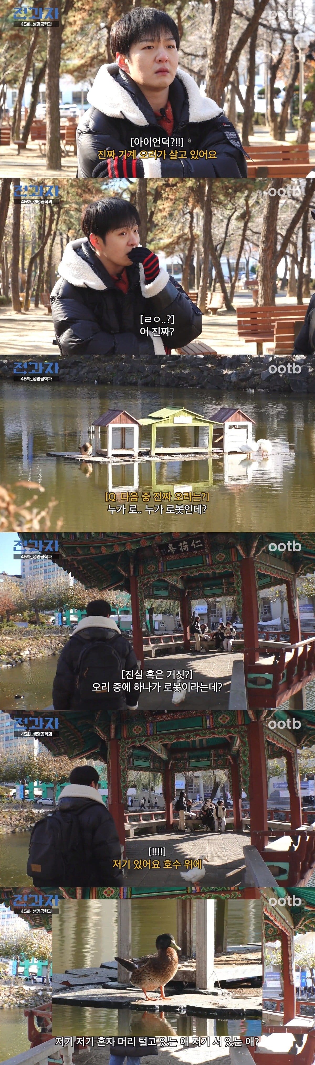 인하대학교 호수에 있다는 기계 오리 ㄷㄷㄷㄷ...jpg