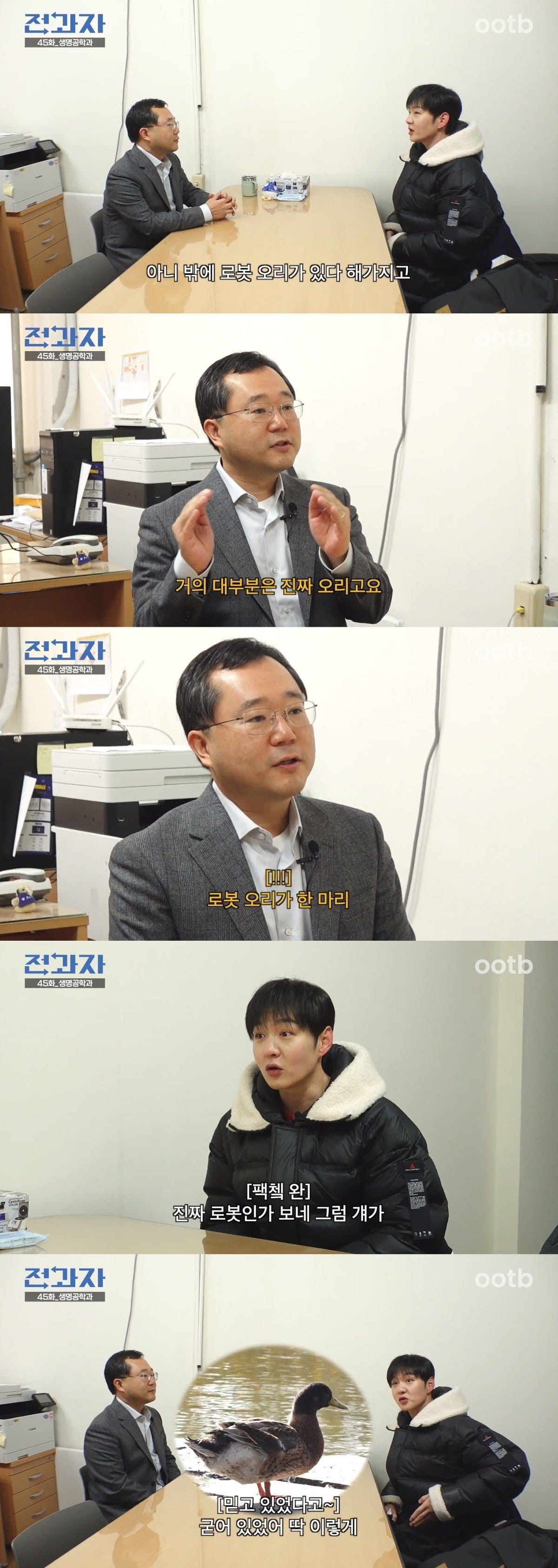 인하대학교 호수에 있다는 기계 오리 ㄷㄷㄷㄷ...jpg