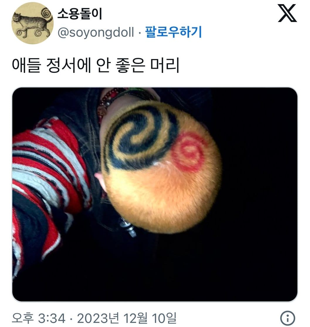 동네 아줌마한테 애들 정서에 안 좋다고 모자 쓰라는 말 들었음