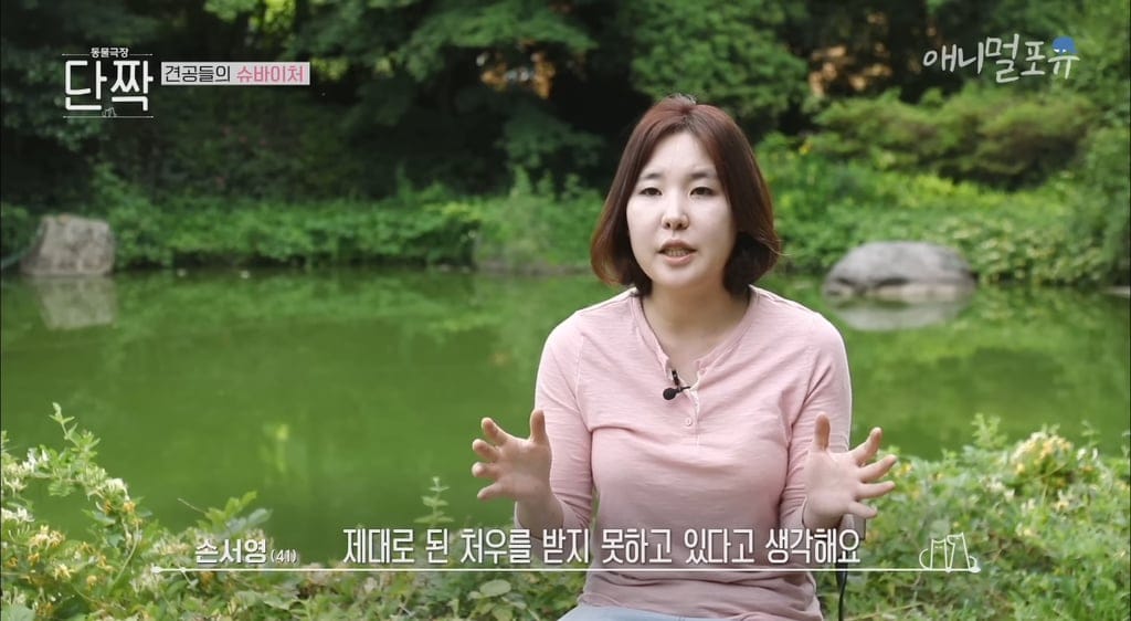 시골의 숲속 시크릿가든에서 32마리 반려견과 사는 수의사.jpg