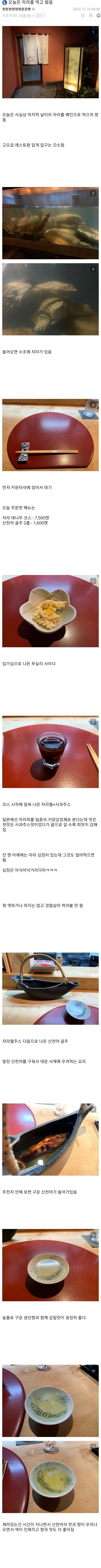 일본에서 자라 코스 요리 먹고온 디씨인