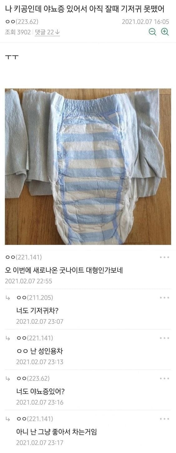 공익갤러리 기저귀 빌런