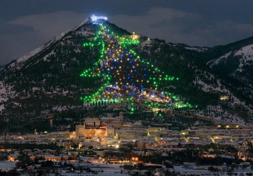 기네스북에 등재 된 세계 최대 크리스마스 트리