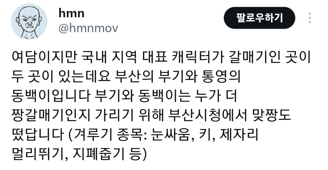 지역 대표 마스코트 기싸움..JPG