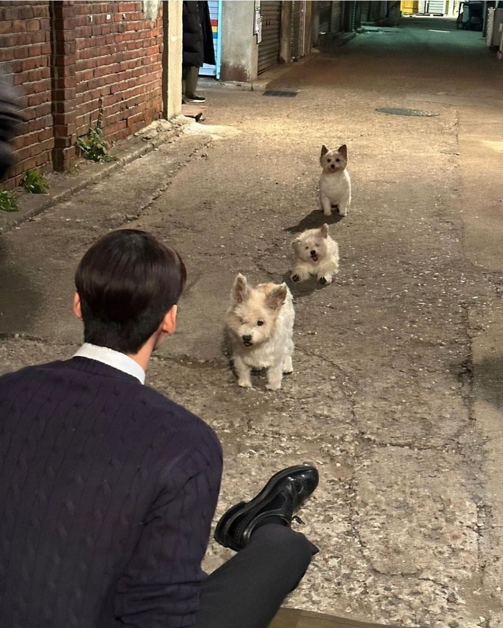 차은우 인스타 사진 논란
