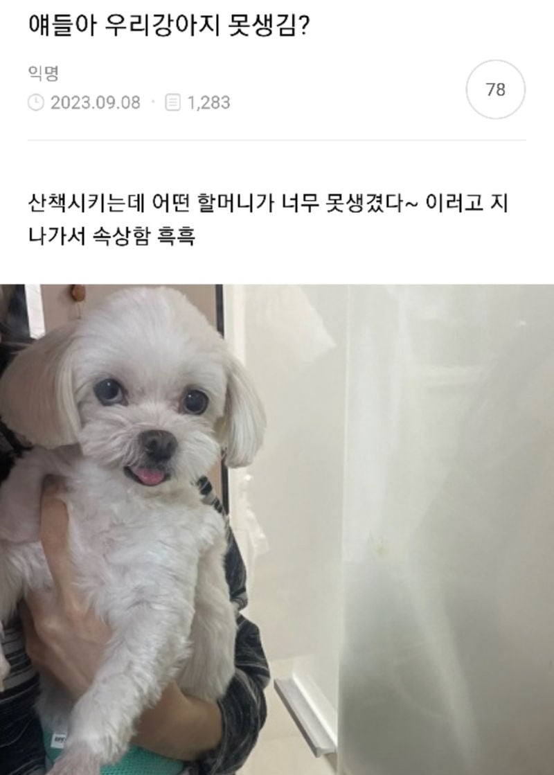 얘드라 우리강아지 못생김? 😭