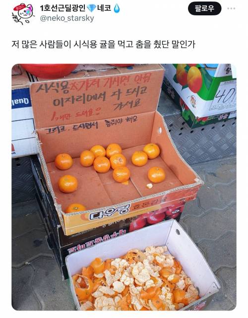 저 많은 사람들이 시식용 귤을 먹고 춤을 췄단 말인가