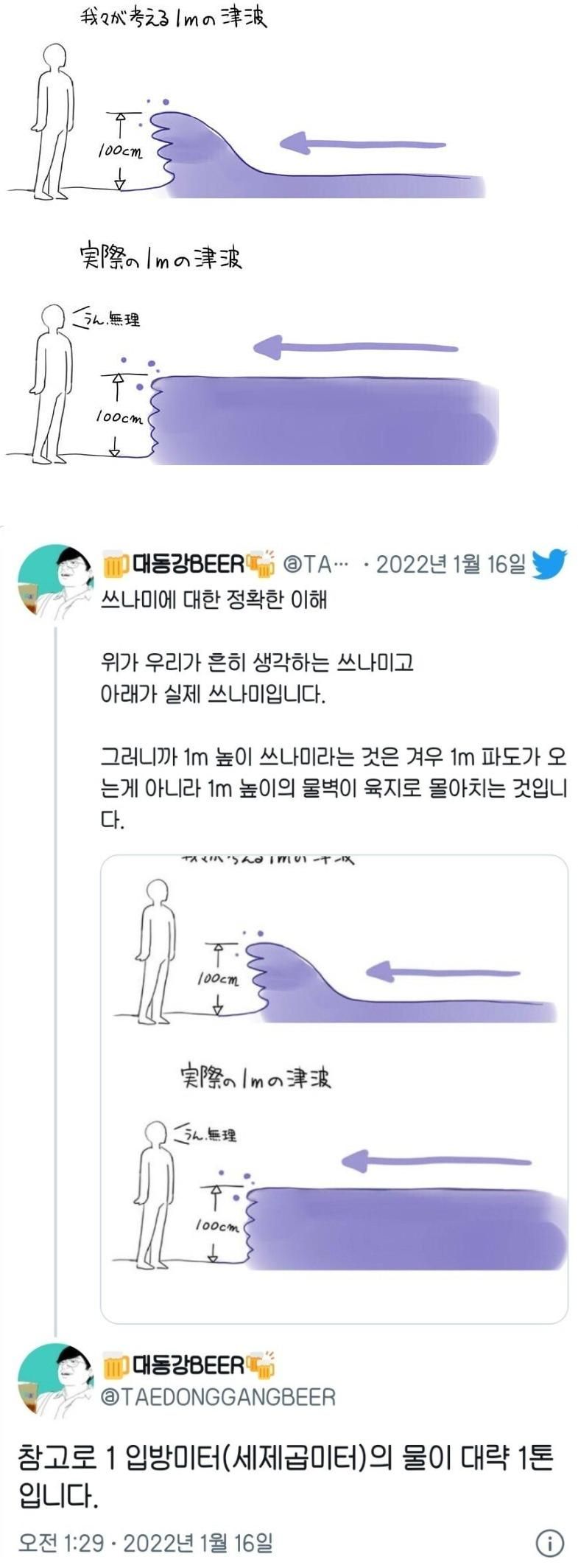 우리가 생각하는 쓰나미 vs 진짜 쓰나미.