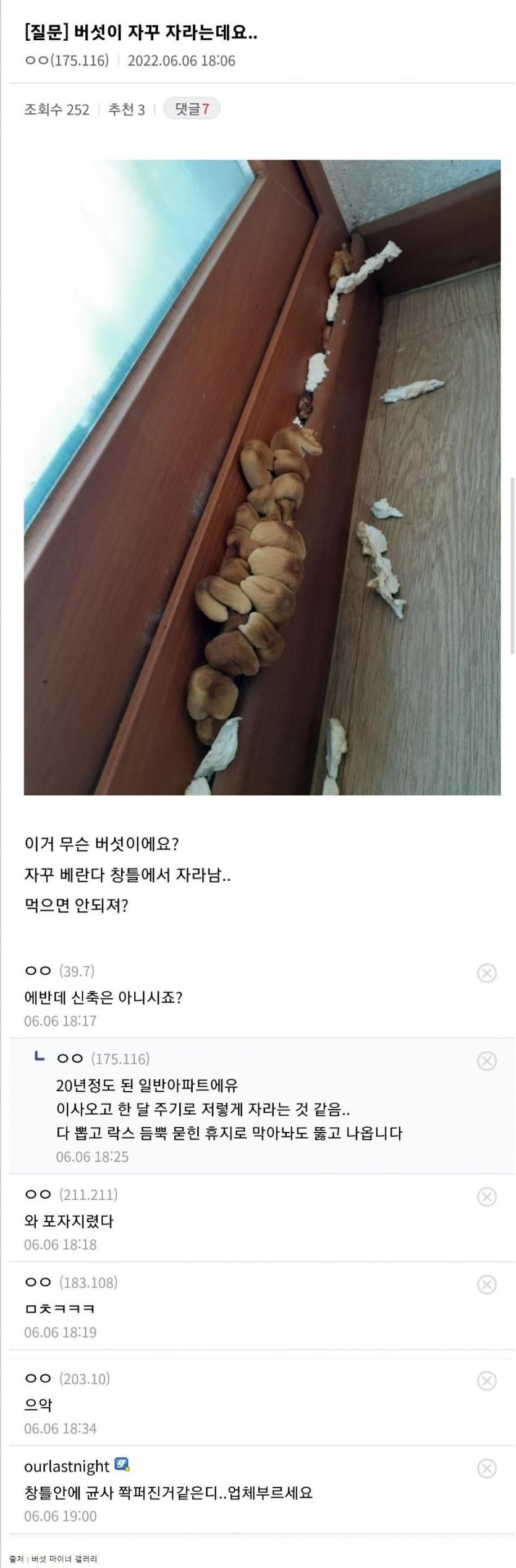 창틀에서 버섯이 자꾸 자라는데요..