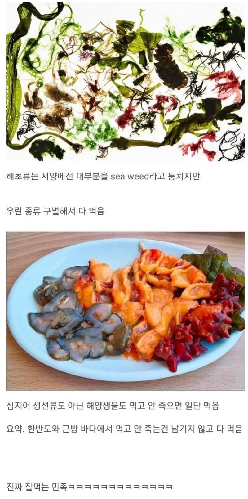 한국인의 식성 특징.jpg