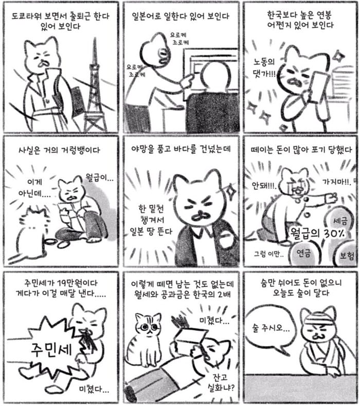 일본 취업의 현실.toon