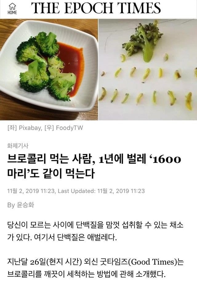 채식만 해도 단백질 보충되는 이유