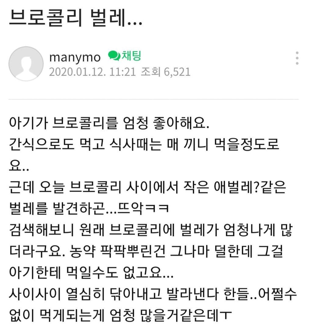 채식만 해도 단백질 보충되는 이유