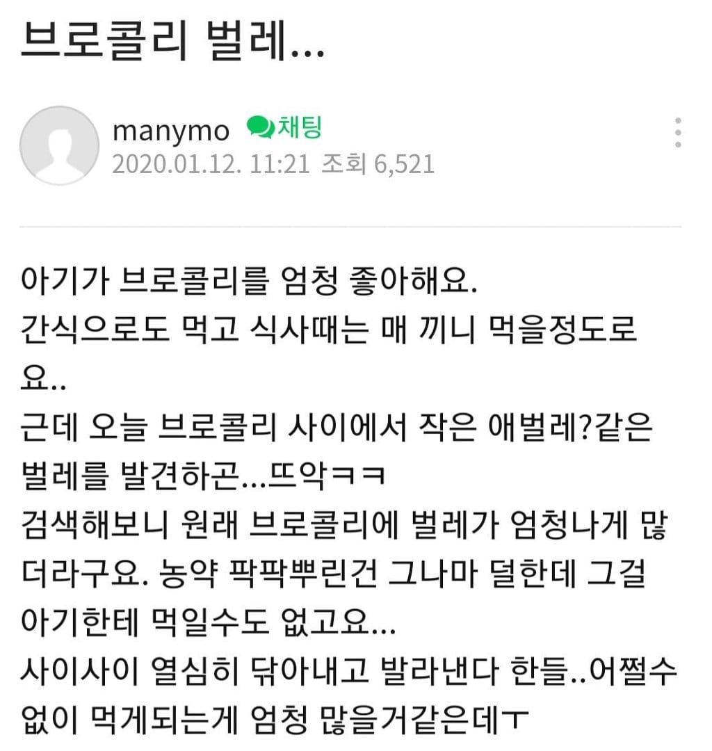 채식만 해도 단백질 보충되는 이유