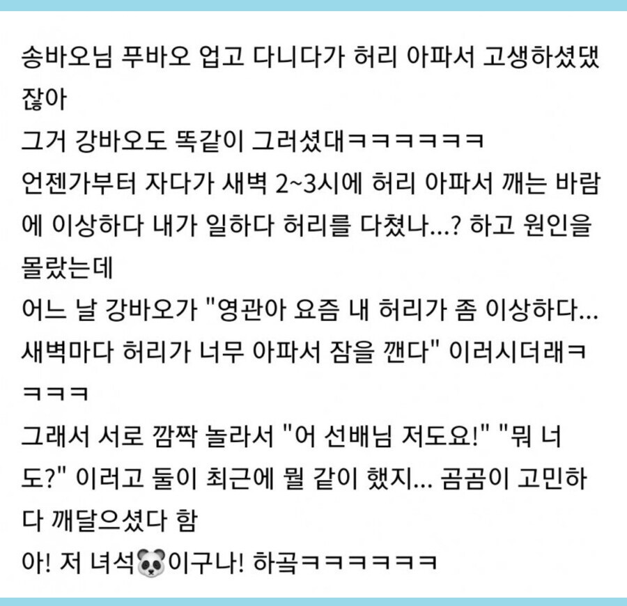 판다 사육사들이 다시 허리가 아플 이유.jpg