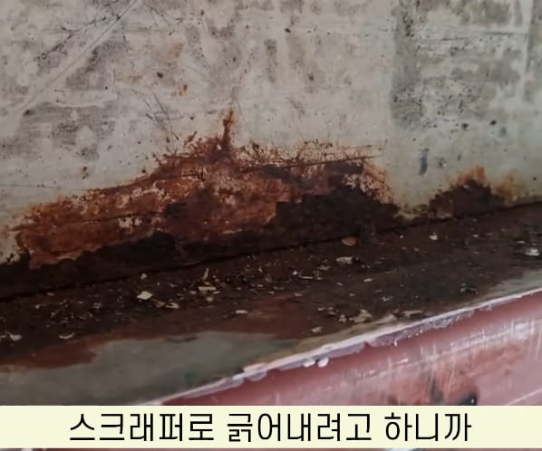 목수가 일할때 내적갈등 생겨서 양심의소리를 듣게되는 순간.jpg