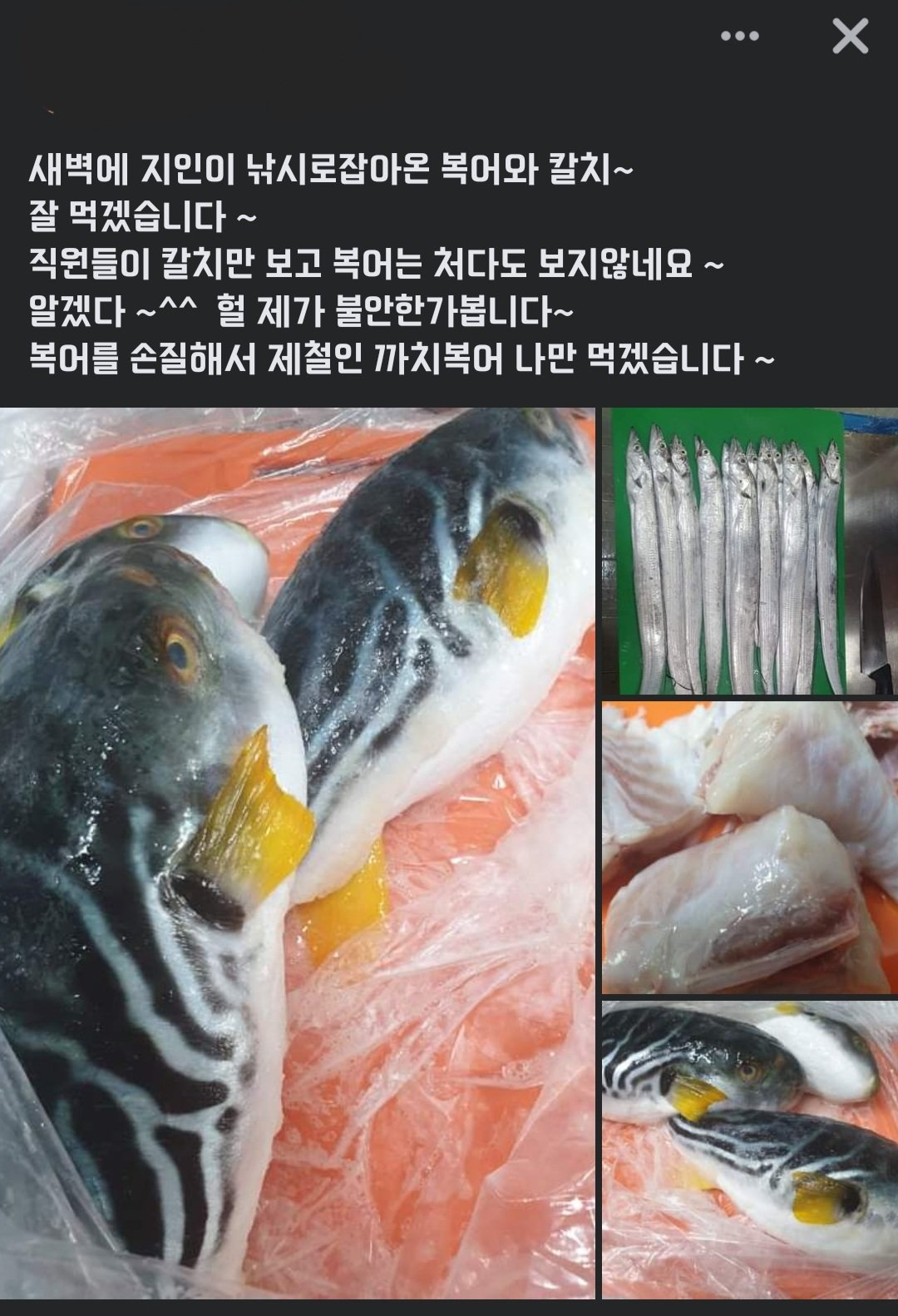 복어 맛있는데 왜 안 먹는지ㅎㅎ